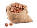 Hazelnuts in canvas sack