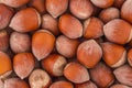 Hazelnuts close up photo. High resolution macro photo of hazelnuts. Food background Royalty Free Stock Photo