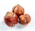 hazelnuts isolated white background close up Royalty Free Stock Photo