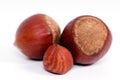 Hazelnuts closeup