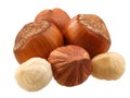 Hazelnuts coryllus avellana, paths Royalty Free Stock Photo