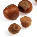 Hazelnuts, corylus avellana, Fruist against White Background Royalty Free Stock Photo