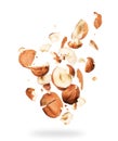 Hazelnuts crushed into pieces, frozen in the air on a white Royalty Free Stock Photo