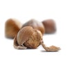 Hazelnuts Royalty Free Stock Photo