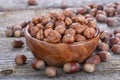 Hazelnuts Royalty Free Stock Photo
