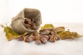 Hazelnuts and dry leaves in a rustic bag on a white background Royalty Free Stock Photo