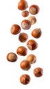 Hazelnuts falling down with realistic texture and natural lighting on transparent background Royalty Free Stock Photo