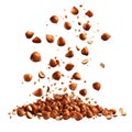 Hazelnuts Falling In Motion. Nutritious Snack And Culinary Ingredient Isolated On Transparent Background Royalty Free Stock Photo