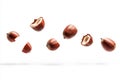 Hazelnuts falling and rotating on white background Royalty Free Stock Photo