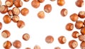 Hazelnuts falling and scattering on transparent background Royalty Free Stock Photo