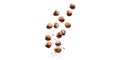 Hazelnuts falling with shell fragments isolated on transparent background Royalty Free Stock Photo