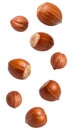 Hazelnuts falling on transparent background Royalty Free Stock Photo
