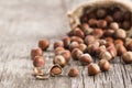 Hazelnuts, filbert in burlap sack on rustic wooden table Royalty Free Stock Photo