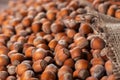Hazelnuts, filbert on old wooden table. heap or stack of hazel nuts. Hazelnut background, healty food Royalty Free Stock Photo