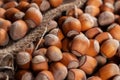 Hazelnuts, filbert on old wooden table. heap or stack of hazel nuts. Hazelnut background, healty food Royalty Free Stock Photo