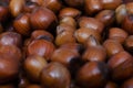 Hazelnuts scattered on boards, photographed from above, forming a uniform background