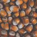 Hazelnuts. Food background, photo wallpaper. Nut macro