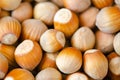 Hazelnuts. Fresh organic,Hazelnut background,close up .