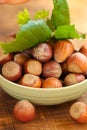 Hazelnuts in a green bowl with green leaves close-up on a wooden table. Farmed ripe hazelnuts. Nut abundance.Organic bio