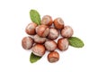 Hazelnuts with green leafs Royalty Free Stock Photo