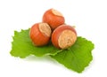 Hazelnuts with green leaves Royalty Free Stock Photo