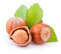 Hazelnuts with green leaves isolated on white background Royalty Free Stock Photo