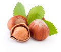 Hazelnuts with green leaves isolated on white background Royalty Free Stock Photo