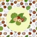 Hazelnuts. Hand drawn illustration. Healthy food natural products vitamins.