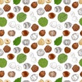 Hazelnuts. Hand drawn illustration. Healthy food natural products vitamins.