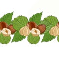 Hazelnuts. Hand drawn illustration. Healthy food natural products vitamins.