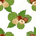 Hazelnuts. Hand drawn illustration. Healthy food natural products vitamins.