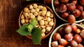 Hazelnuts Harvest.Whole and shelled hazelnuts set in round plates.Healthy fats.View from above. Farmed organic ripe