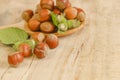 Hazelnuts harvest.Whole and shelled organic hazelnuts on a wooden table. Vegetable protein and healthy fat source