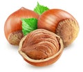 Hazelnuts, hazelnut kernel and green leaves on white background. Clipping path Royalty Free Stock Photo