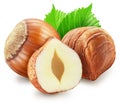 Hazelnuts, hazelnut kernel and green leaves on white background. Clipping path