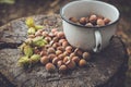 Hazelnuts