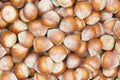 Hazelnuts. heap or stack of hazelnuts. Hazelnut background, healty food