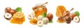 Hazelnuts, honey jar and honeycomb set isolated on white background Royalty Free Stock Photo