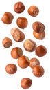 Hazelnuts hovering on transparent background with realistic texture and natural lighting Royalty Free Stock Photo