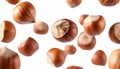 Hazelnuts hovering on transparent background with realistic texture and natural lighting Royalty Free Stock Photo