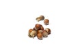 Hazelnuts isolated on a white background Royalty Free Stock Photo