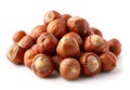 hazelnuts isolated white background Royalty Free Stock Photo