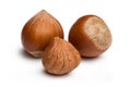 Hazelnuts isolated on white background Royalty Free Stock Photo