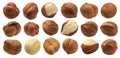 Hazelnuts isolated on white background, nuts collection Royalty Free Stock Photo