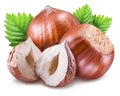 Hazelnuts, kernel of hazelnut and green leaves. Clipping path.