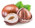 Hazelnuts, kernel of hazelnut and green leaves. Clipping path. Royalty Free Stock Photo