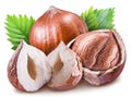 Hazelnuts, kernel of hazelnut and green leaves. Clipping path.