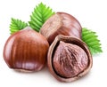 Hazelnuts, kernel of hazelnut and green leaves. Clipping path.