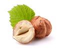 Hazelnuts kernel