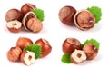 Hazelnuts with a leaf isolated on white background. Set or collection Royalty Free Stock Photo